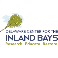 Arts on the Half-Shell with the Delaware Center for the Inland Bays