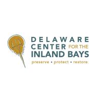 Inland Bays Oyster Week: Oyster Reef Kayak Exploration