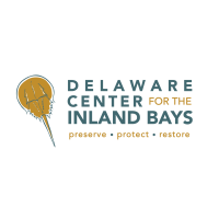 Free Public Program: Mysteries of the Marsh with DE Center for the Inland Bays