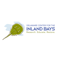 Free Kids Day: Crazy Crabs with Delaware Center for the Inland Bays