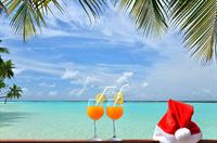 Join Us For Caribbean Christmas on December 2!