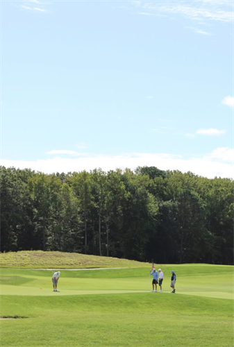 Gallery Image Green.png