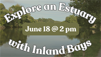 Explore an Estuary with the Inland Bays at South Coastal Library