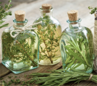Herbal Vinegars: From Seed to Culinary Delight with Emily Peterson and Susan Trone
