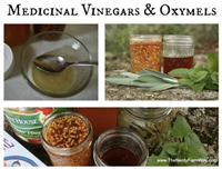 Creating Your Own Medicinal Herbs for Winter Health With Amber Starr