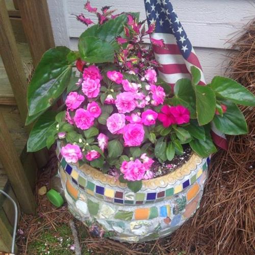 Gallery Image ET_Impatience_with_American_Flag_in_Pot*.jpeg