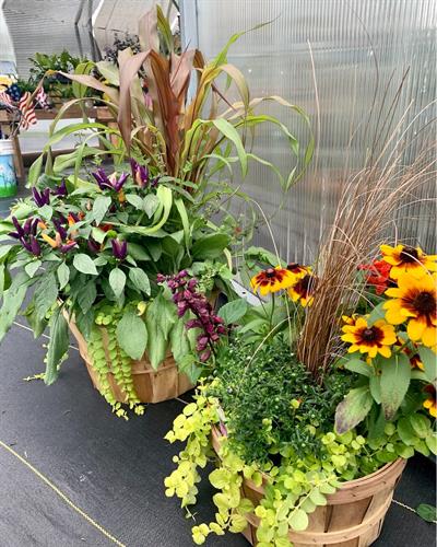 Gallery Image fall-planters.jpg