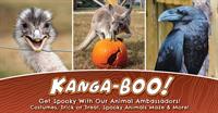 Kanga-BOO! at Coastal Wilds