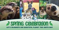 Spring Celebration at Coastal Wilds