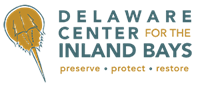 Building the Pasture Point Reef with the Delaware Center for the Inland Bays