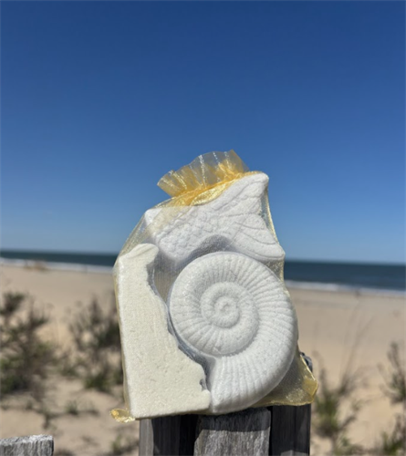 Delaware Coastal Collection Aromatherapy Shower Steamers Gift Set