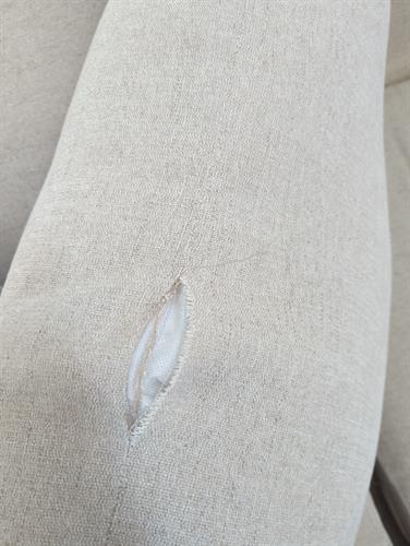 Torn couch cushion