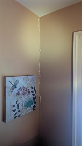 Home Check- Paint Peeling