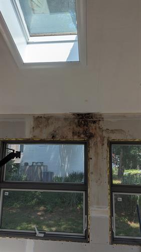 Mold Found in Home – Sussex County, DE Mold inspection and cleanup services in Lower Sussex County. Protect your home and health today.