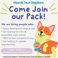 Hounds Town Dagsboro