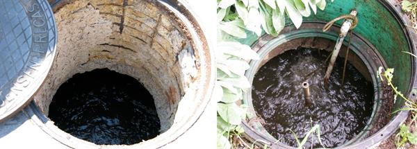 SeptiCure Before and After picture SeptiCure Before and After picture