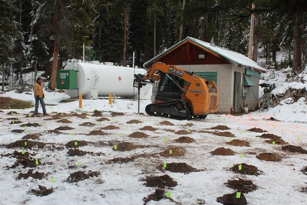 Delta Remediation In-Situ Treatment