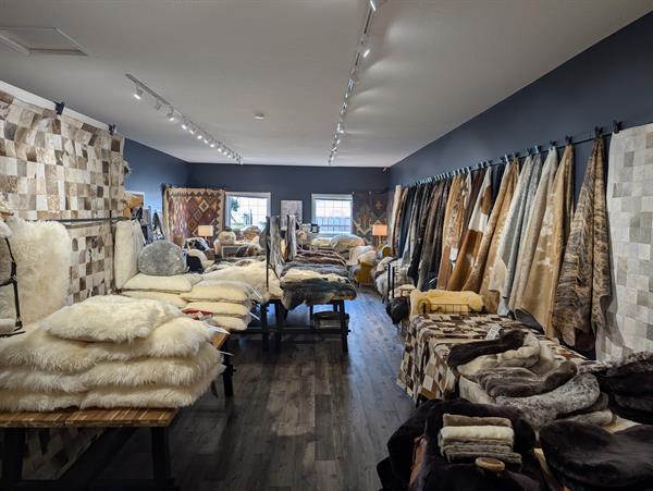 The showroom