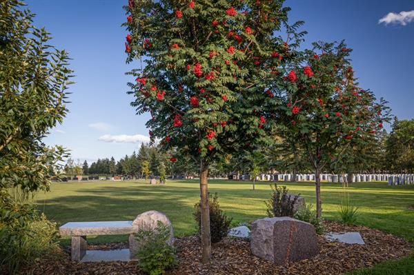 Gallery Image Scenic_Photo_of_Cemetery.jpg Gallery Image Scenic_Photo_of_Cemetery.jpg