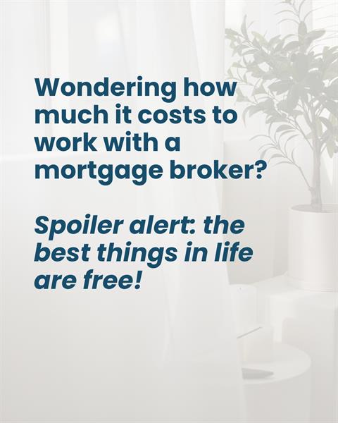 Wondering the Cost of working with me?