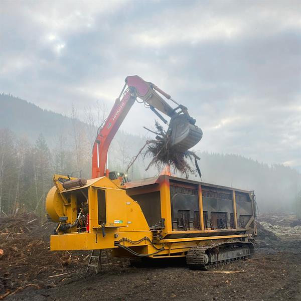 Gallery Image Jasper_Bottom.jpg