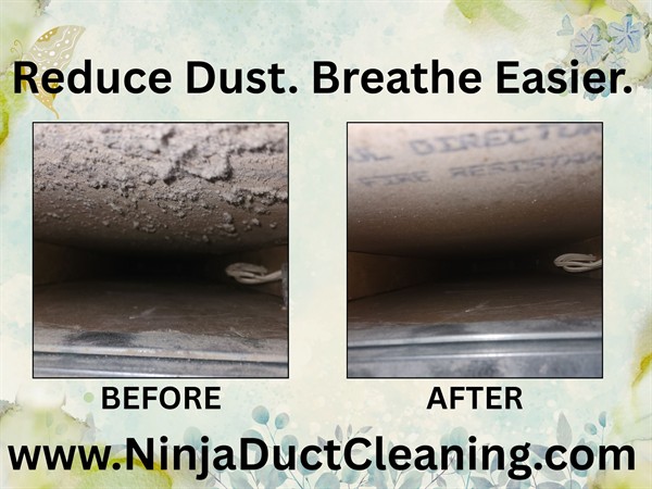 Stony Plain Furnace & Duct Cleaning