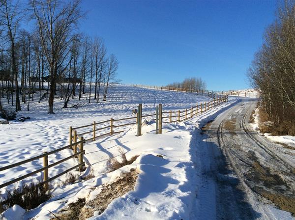 Gallery Image rail_fence_3R_along_driveway.JPG