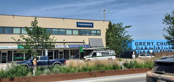 Gallery Image shared_image_-_2026-01-27T113548.247.jpg