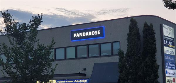 Gallery Image shared_image_-_2026-01-27T113749.343.jpg