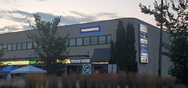 Gallery Image shared_image_-_2026-01-27T113831.817.jpg