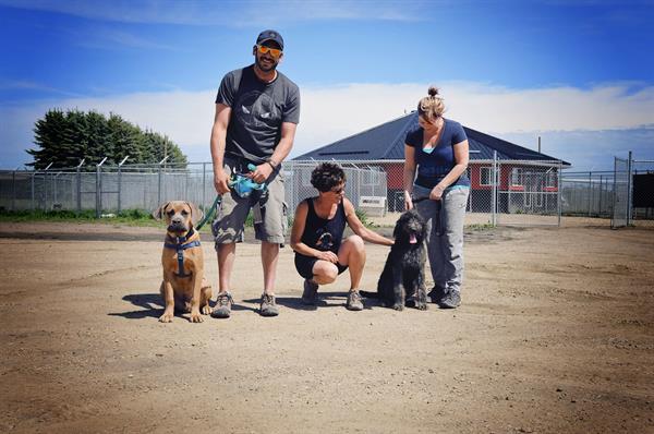 Book a $25 dog training consult with our 100% money back guarantee. Book a $25 dog training consult with our 100% money back guarantee.