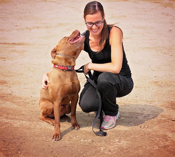 Private dog training. Private dog training.