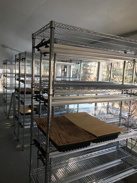 growing facility growing facility
