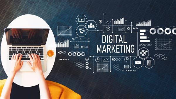 Gallery Image SEO-Company.jpg Gallery Image SEO-Company.jpg
