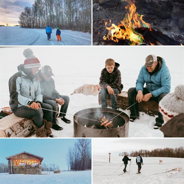 Winter picnics and trails