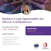 Business Grant Opportunities for Diverse-Led Businesses: Informational Webinar