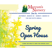 Marcum's Nursey Spring Open House