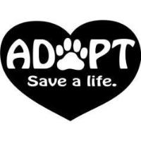 Pet Adoption & Movie Night
