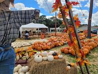 7th Annual Pumpkin Painting Event