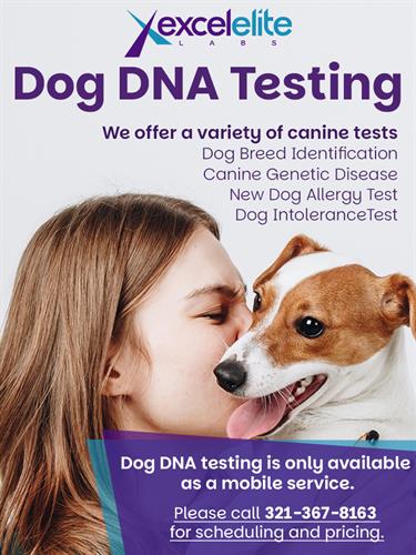 Quick & easy Dog DNA testing done mobile at a mutually agreed location