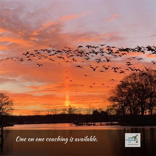 We offer coaching opportunities for other bookkeepers.