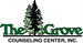 The Grove Counseling Center Invites You to the Orlando Gives Launch Party