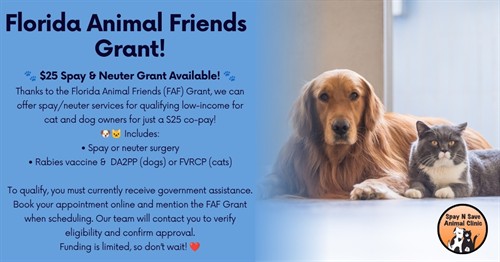 FAF Grant