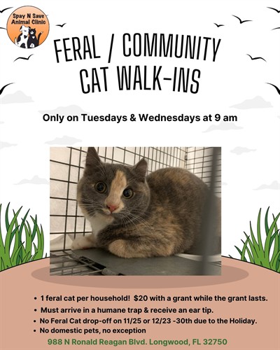 Feral walk-in day Tuesdays & Wednesdays