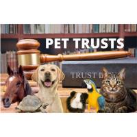 Setting Up a Pet Trust in Florida