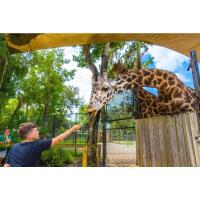 Enjoy an Extra Hour at the Central Florida Zoo & Botanical Gardens This Spring Break