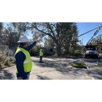 Duke Energy’s Tree Giveaway Encourages Floridians To Plant The Right Tree In The Right Place To Keep The Power Flowing