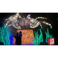 Asian Lantern Festival: Into The Wild, Presented By Publix, Now Open At Central Florida Zoo & Botanical Gardens