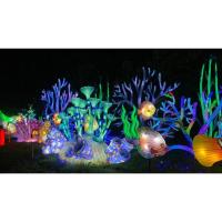 Experience Sensory-Friendly Nights At Asian Lantern Festival: Into The Wild, Presented By Publix