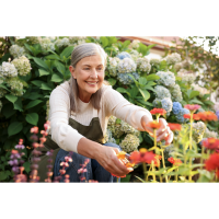 Resources for Solo Seniors